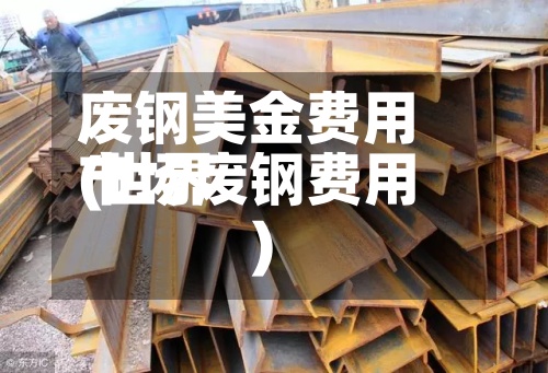 废钢美金费用
(世界
市场废钢费用
)-第3张图片