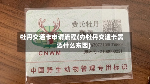 牡丹交通卡申请流程(办牡丹交通卡需要什么东西)