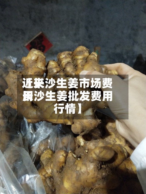 近来
【长沙生姜市场费用
长沙生姜批发费用
行情】
