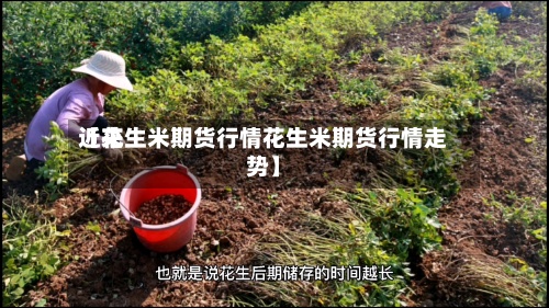 近来
【花生米期货行情花生米期货行情走势】-第2张图片