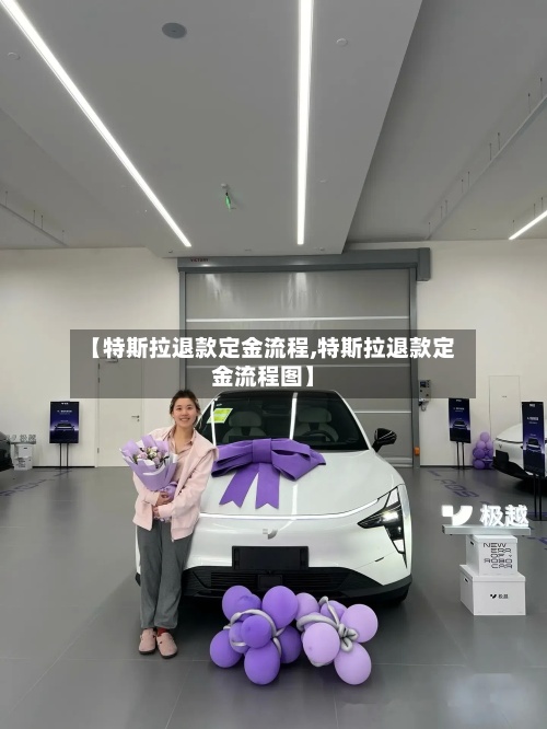 【特斯拉退款定金流程,特斯拉退款定金流程图】-第3张图片
