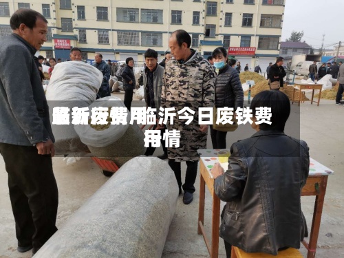 临沂废费用最新行情/临沂今日废铁费用行情