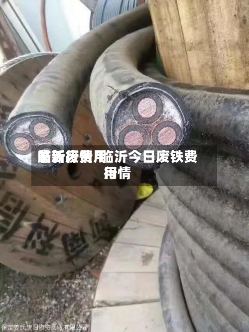 临沂废费用
最新行情/临沂今日废铁费用
行情-第2张图片