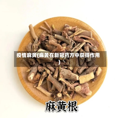 疫情麻黄(麻黄在新冠药方中获得作用)