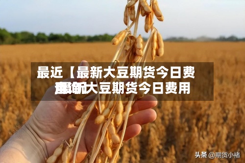 最近【最新大豆期货今日费用
,最新大豆期货今日费用
查询】-第2张图片