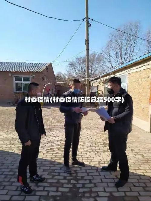 村委疫情(村委疫情防控总结500字)