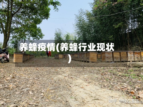 养蜂疫情(养蜂行业现状)