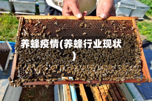 养蜂疫情(养蜂行业现状)-第2张图片