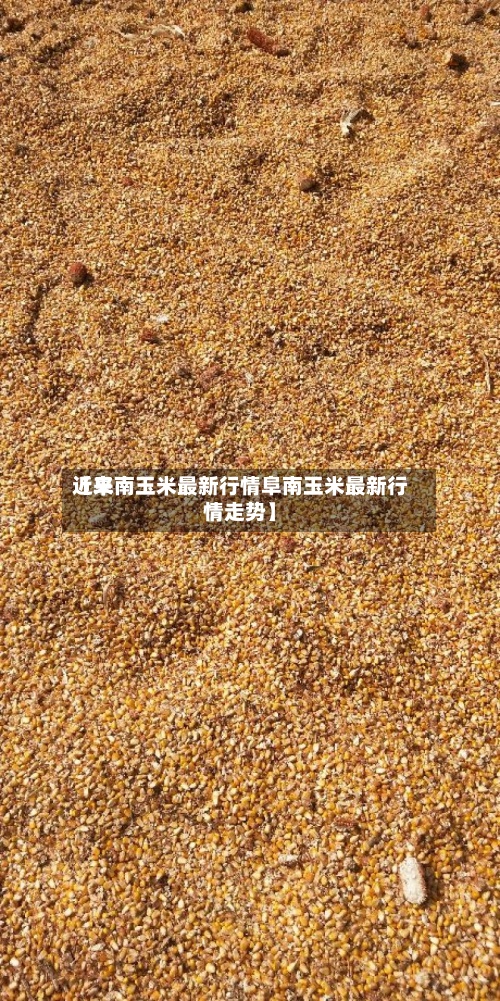 近来
【阜南玉米最新行情阜南玉米最新行情走势】