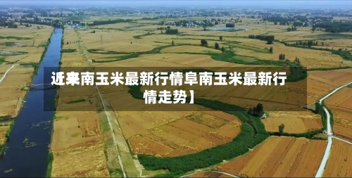 近来
【阜南玉米最新行情阜南玉米最新行情走势】-第2张图片