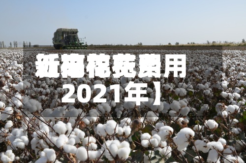 近来
【棉花费用
新高棉花费用
2021年】-第2张图片