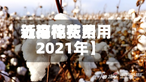 近来
【棉花费用
新高棉花费用
2021年】