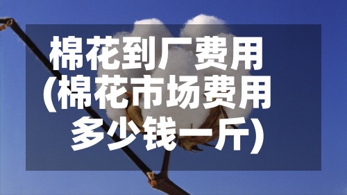 棉花到厂费用
(棉花市场费用
多少钱一斤)-第2张图片