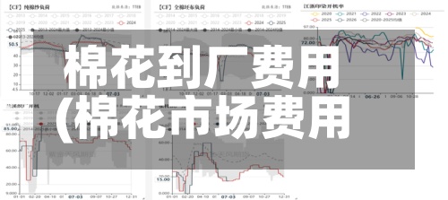 棉花到厂费用
(棉花市场费用
多少钱一斤)