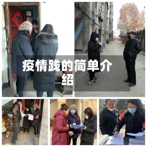疫情践的简单介绍