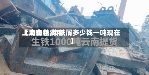 【废生铁费用
上海有色,废铁屑多少钱一吨现在】-第2张图片