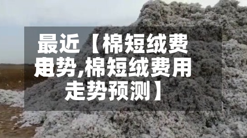 最近【棉短绒费用
走势,棉短绒费用
走势预测】-第2张图片