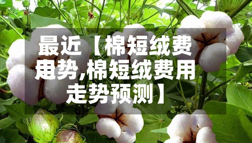 最近【棉短绒费用
走势,棉短绒费用
走势预测】