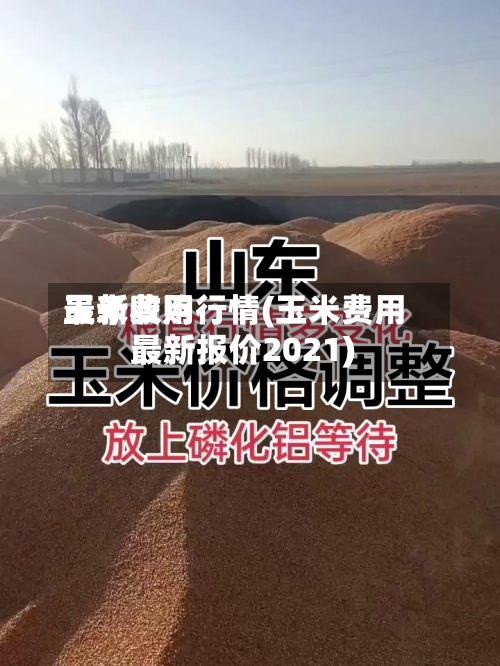 玉米费用最新收购行情(玉米费用最新报价2021)-第2张图片