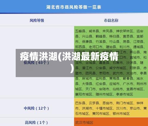 疫情洪湖(洪湖最新疫情)-第3张图片