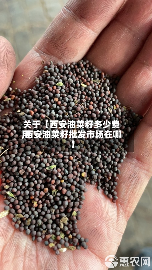 关于【西安油菜籽多少费用,西安油菜籽批发市场在哪】