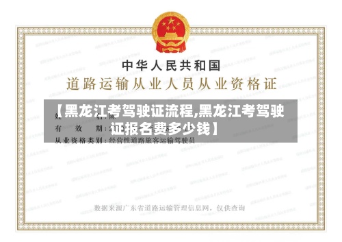 【黑龙江考驾驶证流程,黑龙江考驾驶证报名费多少钱】