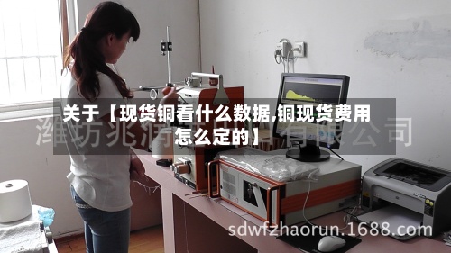 关于【现货铜看什么数据,铜现货费用怎么定的】-第2张图片