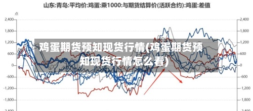 鸡蛋期货预知现货行情(鸡蛋期货预知现货行情怎么看)