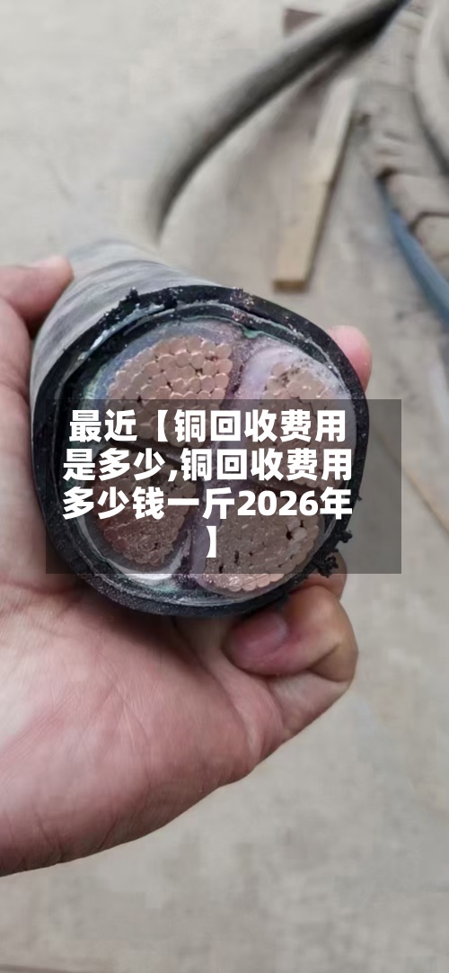 最近【铜回收费用
是多少,铜回收费用
多少钱一斤2026年】-第2张图片