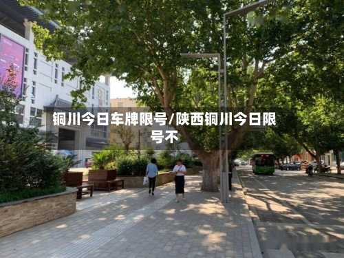 铜川今日车牌限号/陕西铜川今日限号不-第3张图片