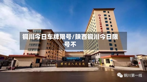 铜川今日车牌限号/陕西铜川今日限号不-第2张图片