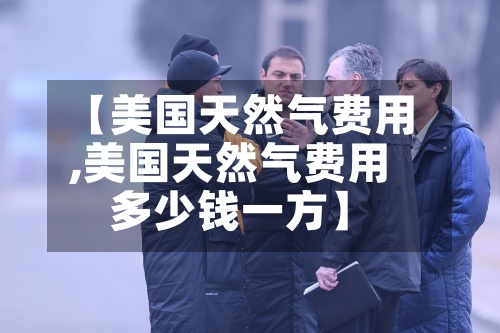 【美国天然气费用
,美国天然气费用
多少钱一方】