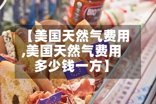 【美国天然气费用,美国天然气费用多少钱一方】-第2张图片