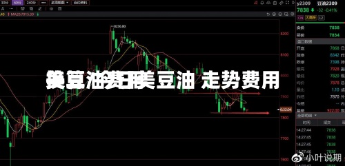 美豆油费用
换算/今日美豆油 走势费用
-第3张图片