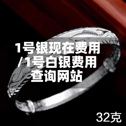 1号银现在费用
/1号白银费用
查询网站