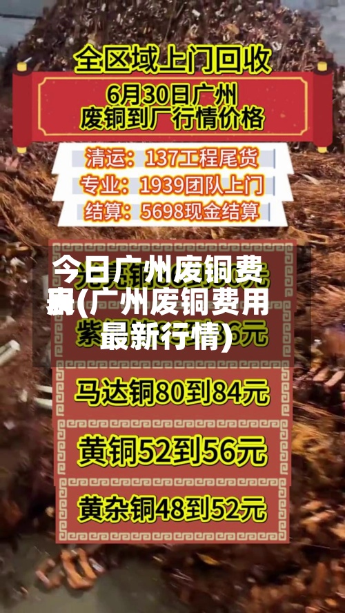 今日广州废铜费用
表(广州废铜费用
最新行情)-第2张图片
