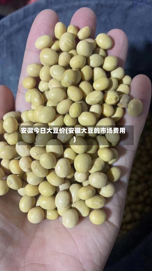 安徽今日大豆价(安徽大豆的市场费用
)-第3张图片