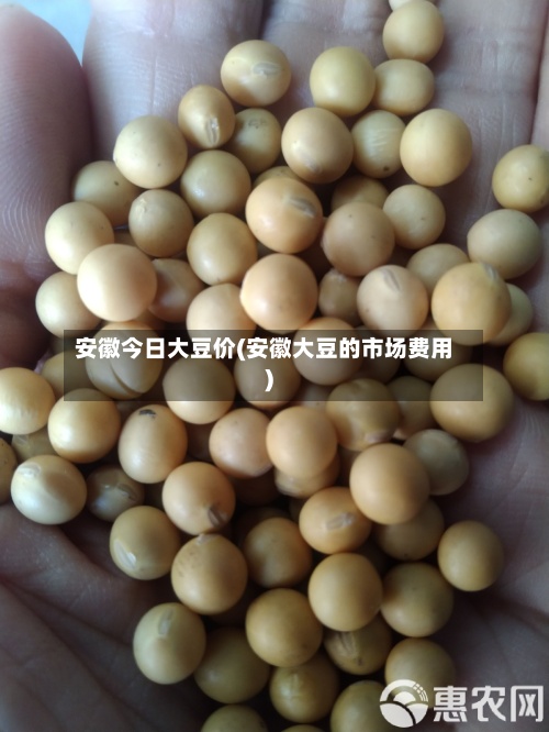安徽今日大豆价(安徽大豆的市场费用
)-第2张图片