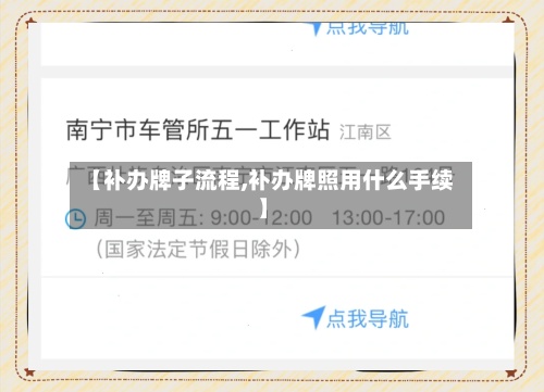 【补办牌子流程,补办牌照用什么手续】-第2张图片