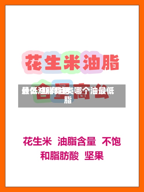 什么油脂费用
最低/所有油类哪个油最低脂