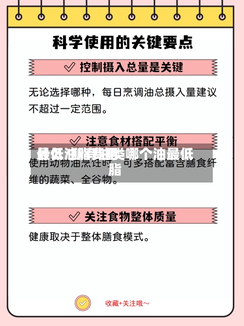什么油脂费用
最低/所有油类哪个油最低脂-第3张图片