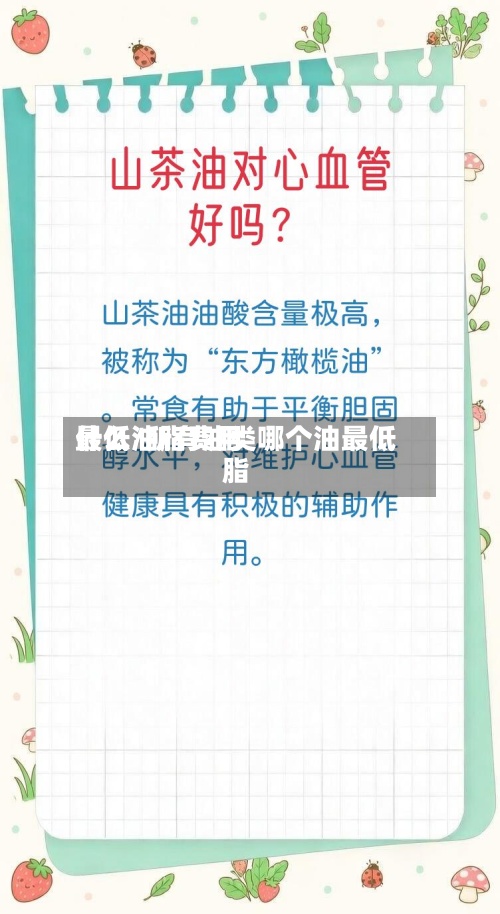什么油脂费用
最低/所有油类哪个油最低脂-第2张图片