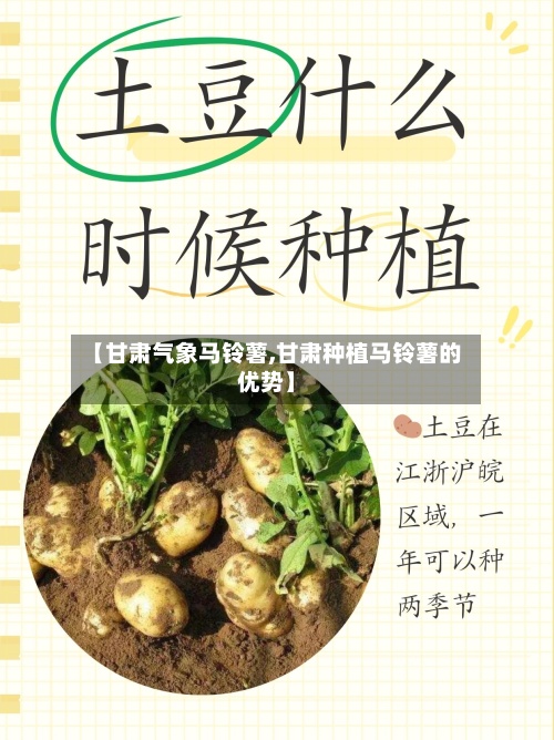 【甘肃气象马铃薯,甘肃种植马铃薯的优势】