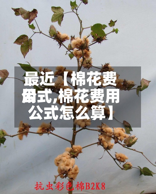 最近【棉花费用公式,棉花费用公式怎么算】