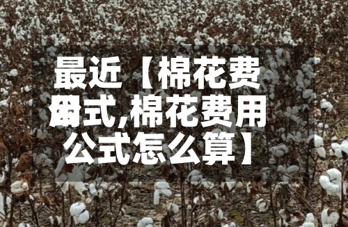 最近【棉花费用
公式,棉花费用
公式怎么算】-第2张图片