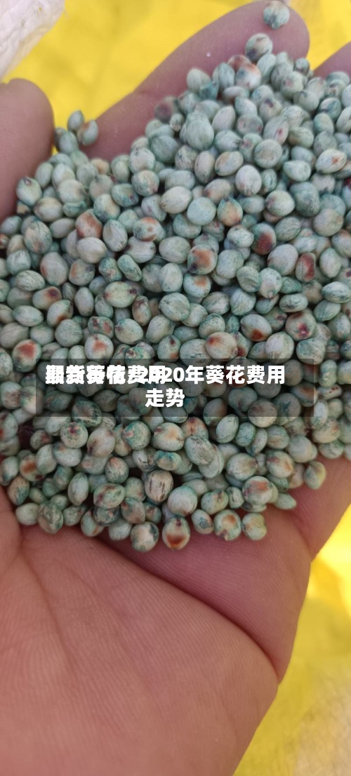 期货葵花费用最新行情/2020年葵花费用走势-第2张图片