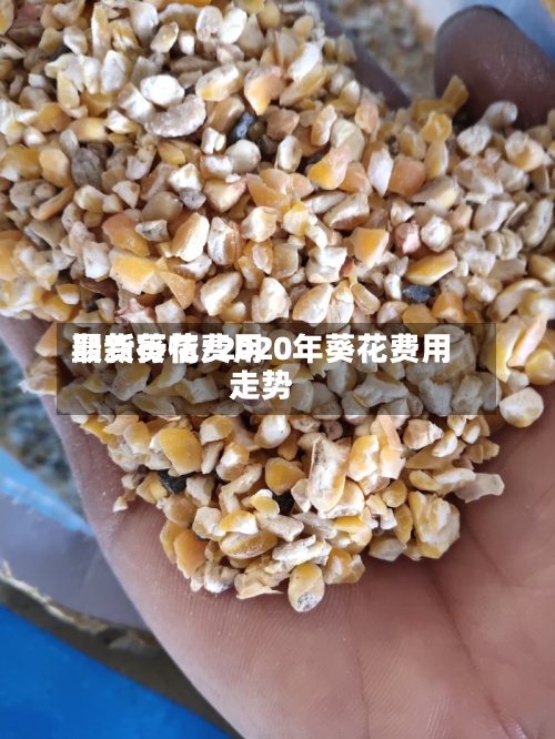期货葵花费用最新行情/2020年葵花费用走势