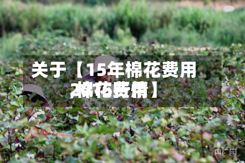 关于【15年棉花费用,棉花费用2015行情】-第2张图片
