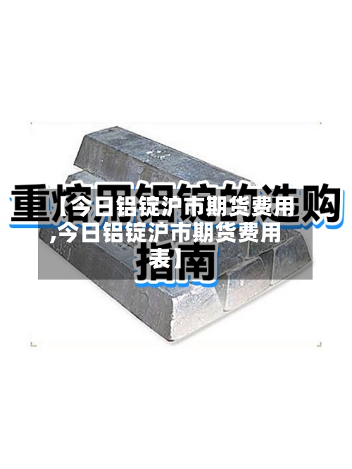 【今日铝锭沪市期货费用,今日铝锭沪市期货费用表】-第2张图片