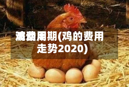 鸡费用
波动周期(鸡的费用
走势2020)